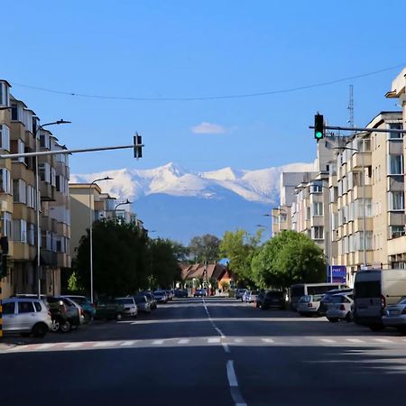 Modern Apartament Fagaras Bagian luar foto